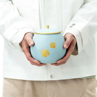 柚念（蓝）