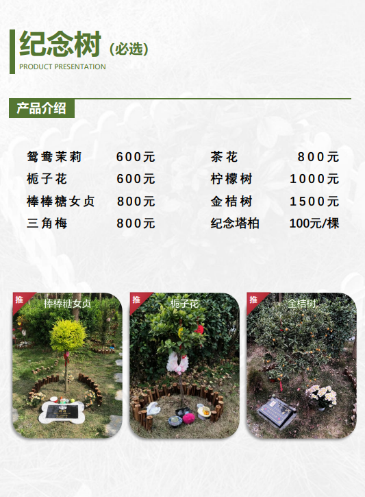 纪念树品种与价格